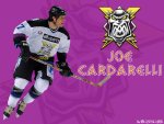 Joe Cardarelli