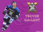 Trevor Gallant