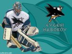 Evgeni Nabokov - San Jose Sharks
